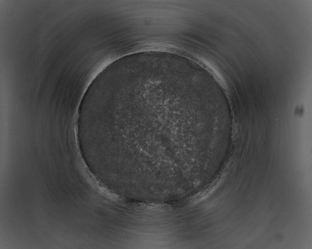 X0000089950899200707131513