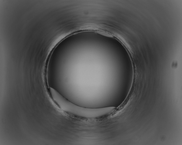 X0000089950901200707131513
