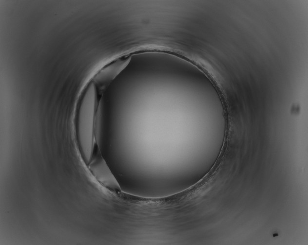 X0000089950902200707131513