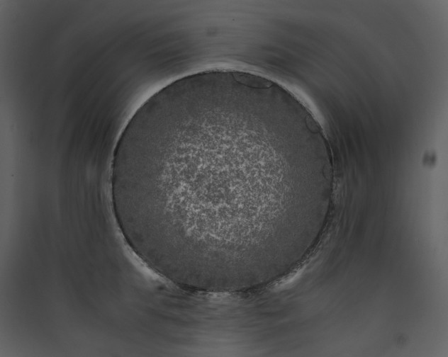 X0000089950903200707131513