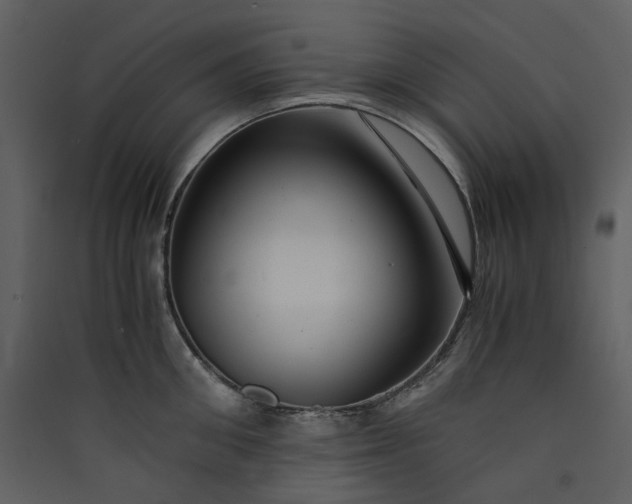X0000089950906200707131513