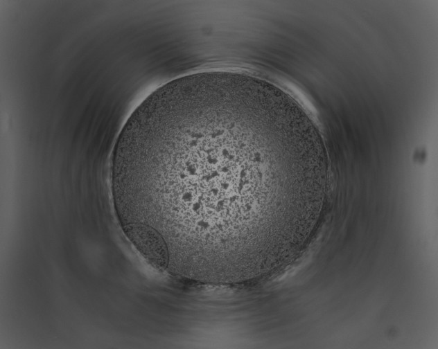 X0000089950907200707131513