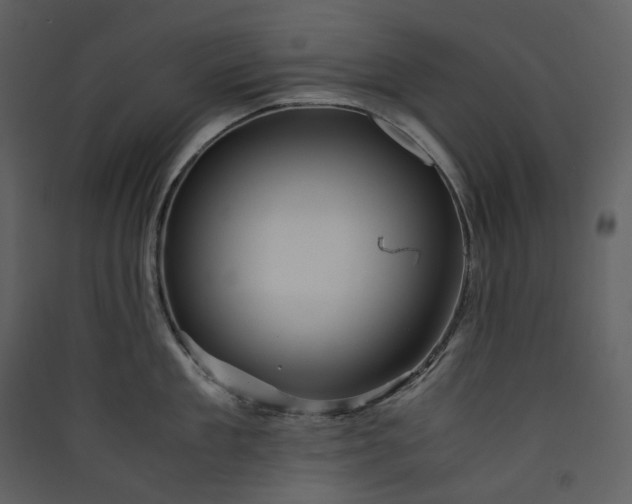 X0000089950909200707131513