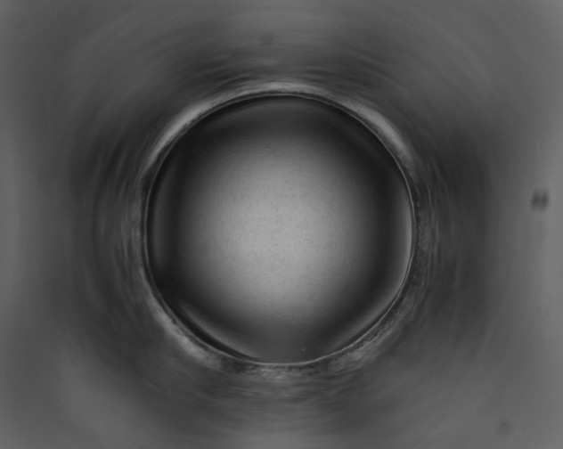 X0000089950910200707131513