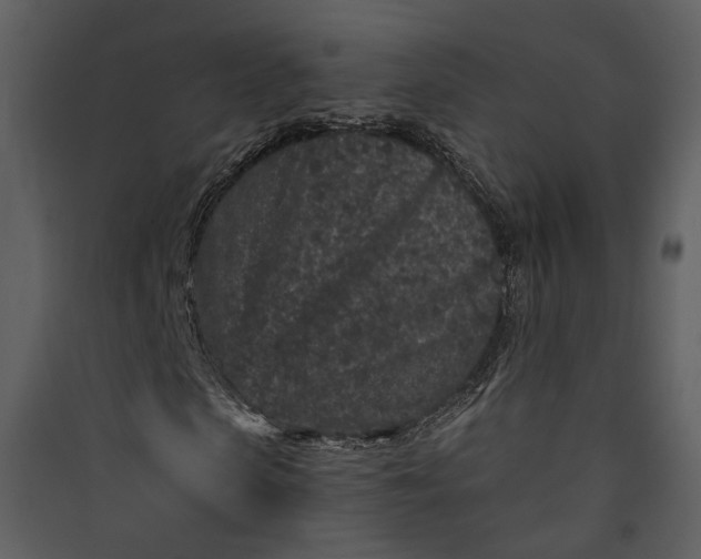 X0000089950913200707131512