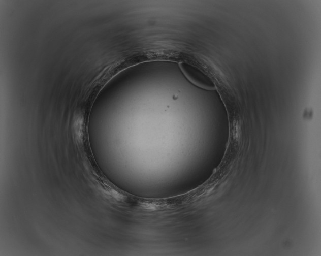 X0000089950915200707131512