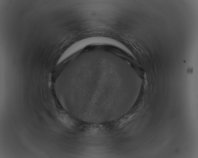 X0000089950916200707131512