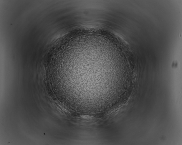 X0000089950917200707131512