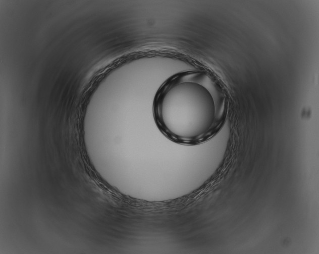 X0000089950920200707131512