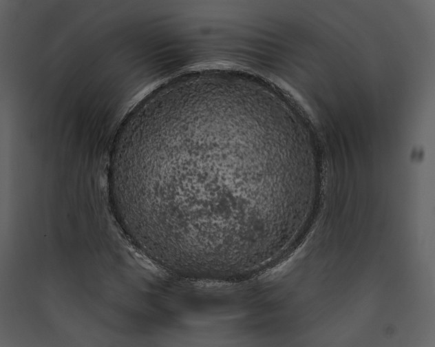 X0000089950921200707131512