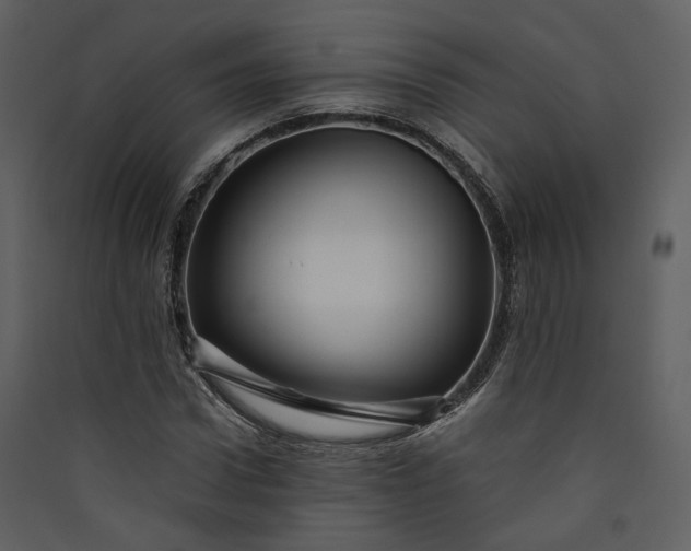 X0000089950922200707131512