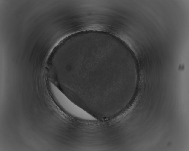 X0000089950923200707131512