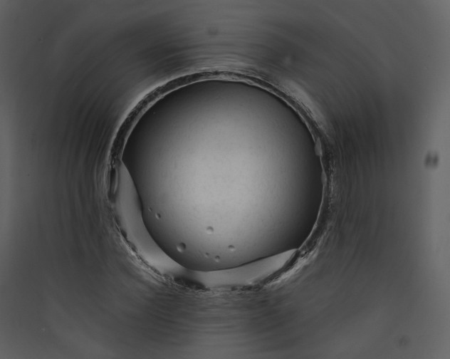 X0000089950924200707131512