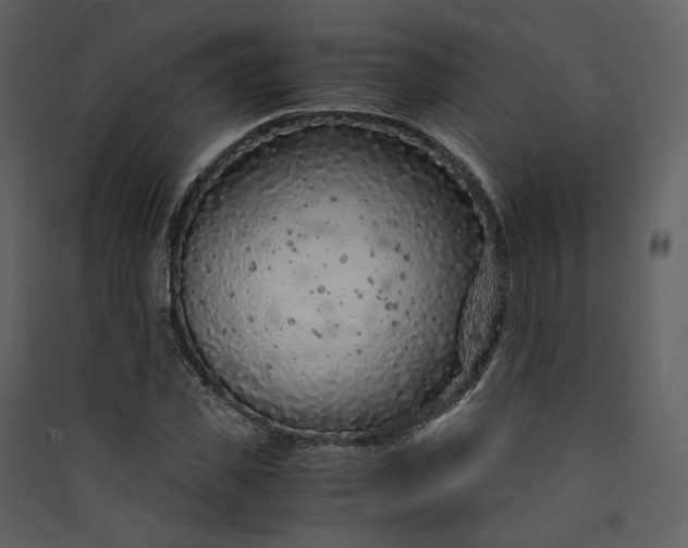 X0000089950925200707131512