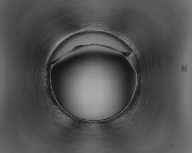 X0000089950926200707131512