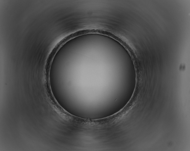 X0000089950927200707131512