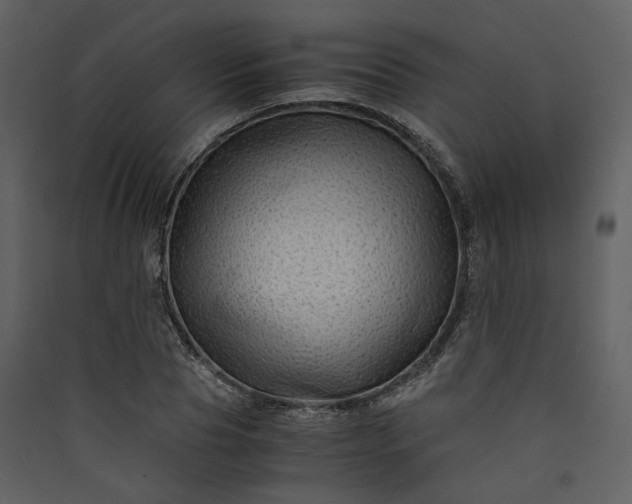 X0000089950929200707131512