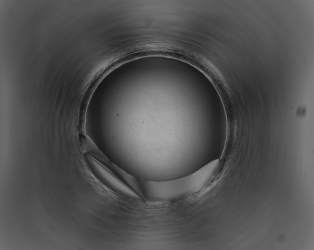 X0000089950930200707131512