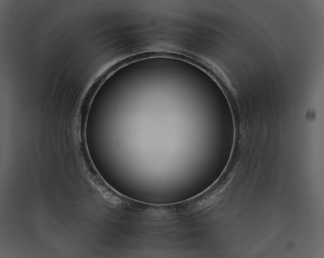 X0000089950931200707131512