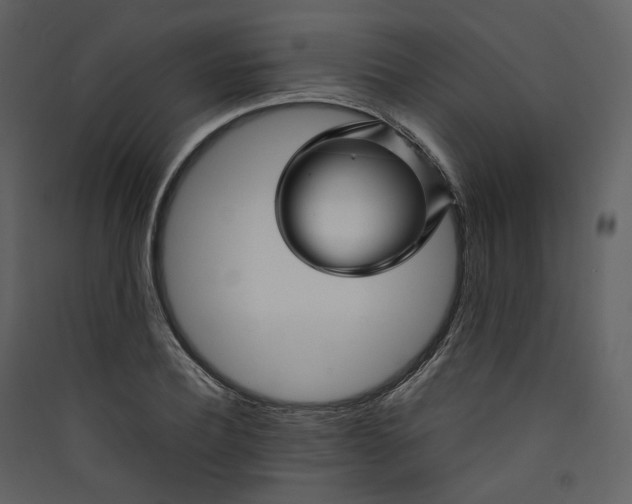 X0000089950932200707131512