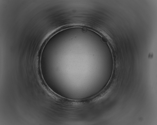 X0000089950933200707131512