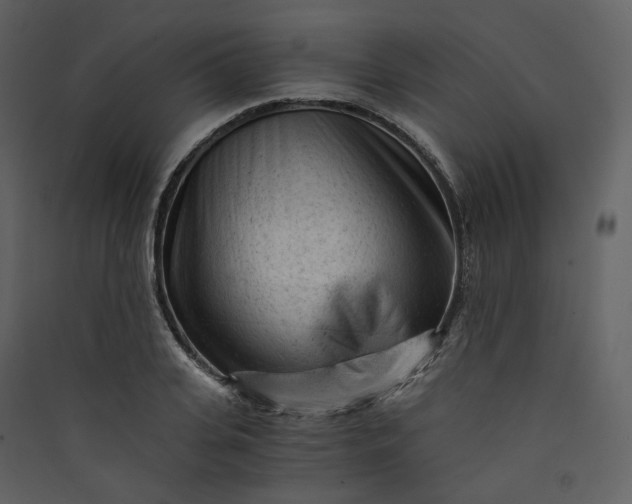 X0000089950935200707131512