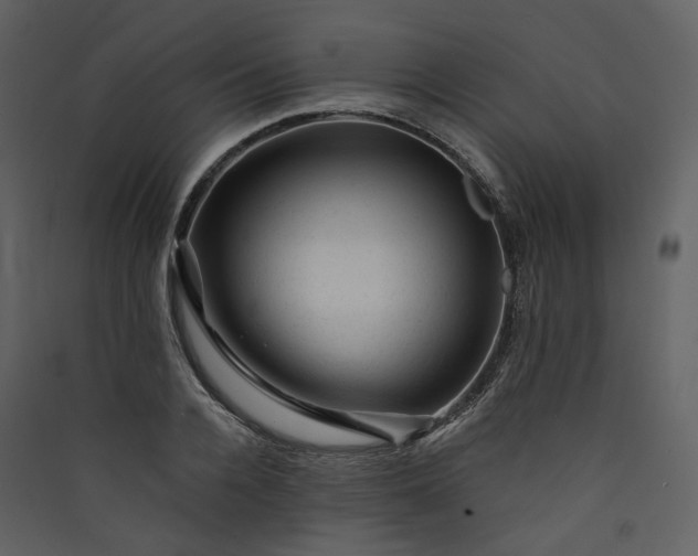 X0000089950936200707131512