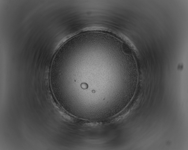X0000089950937200707131512