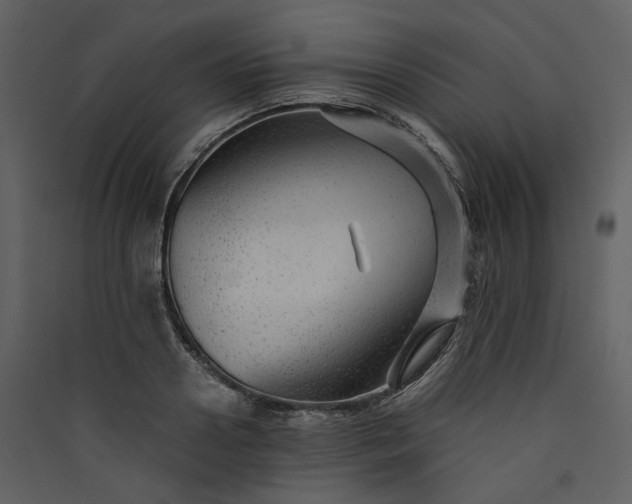 X0000089950938200707131512