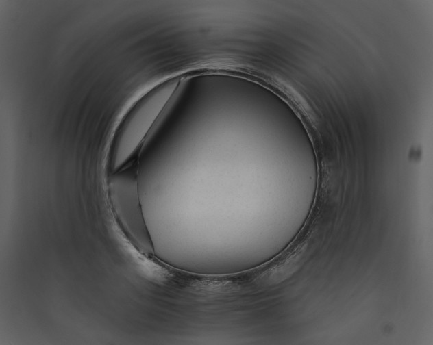 X0000089950939200707131512