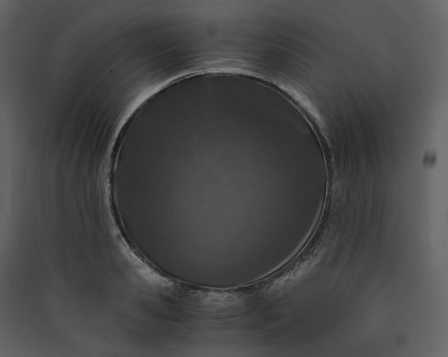 X0000089950941200707131512