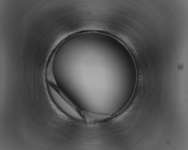 X0000089950942200707131513