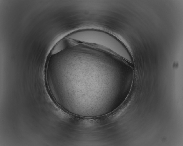 X0000089950943200707131513