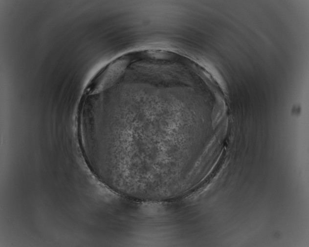 X0000089950944200707131513