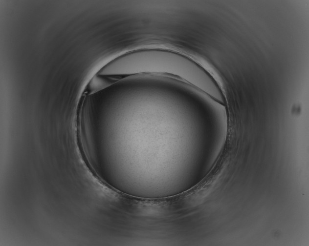 X0000089950951200707131513