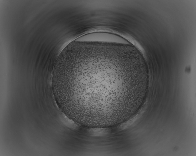 X0000089950953200707131513