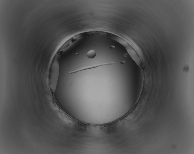 X0000089950956200707131513