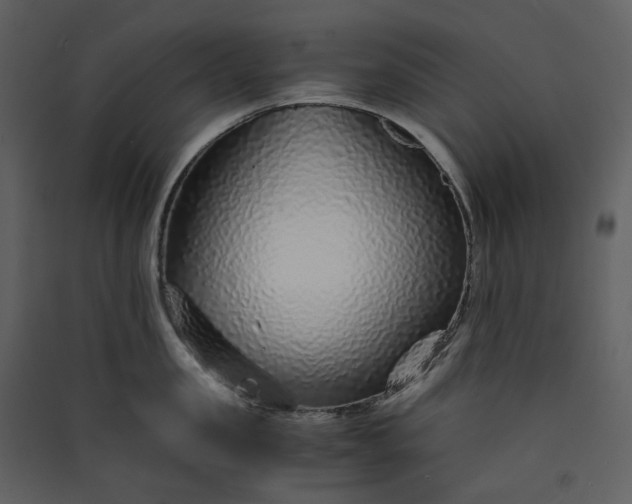 X0000089950957200707131513