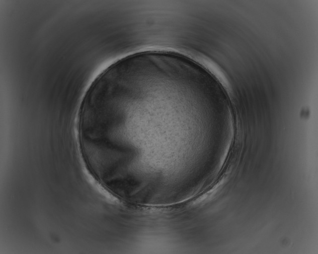X0000089950958200707131513