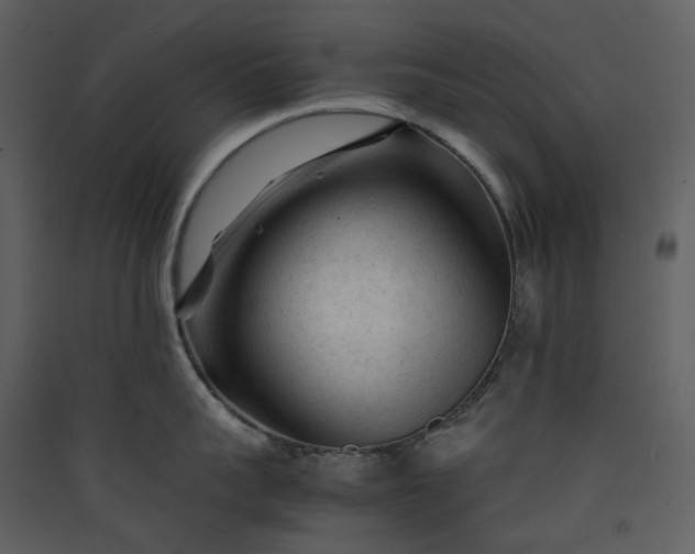 X0000089950959200707131513