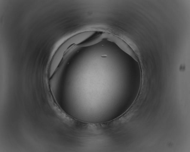 X0000089950960200707131513