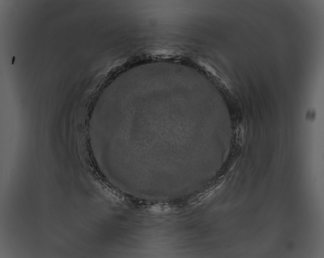 X0000089950961200707131512