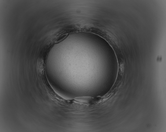 X0000089950963200707131512