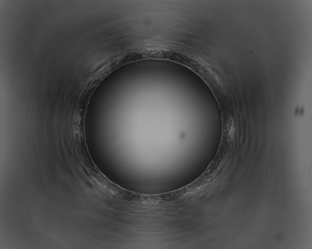 X0000089950964200707131512
