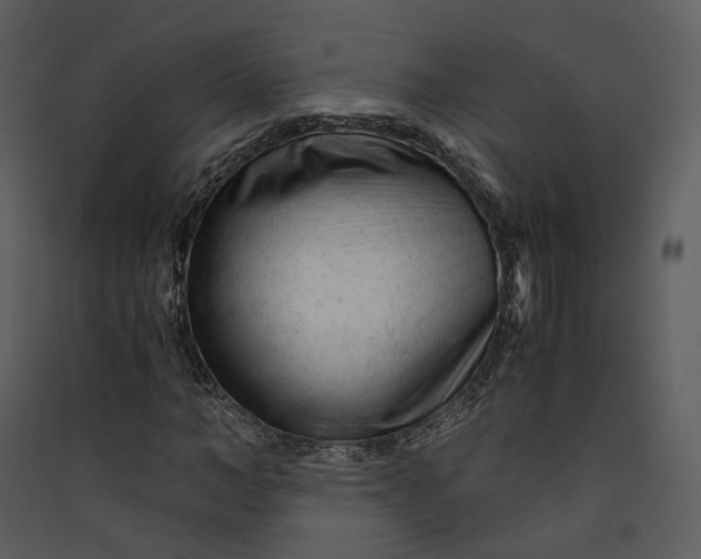 X0000089950966200707131512