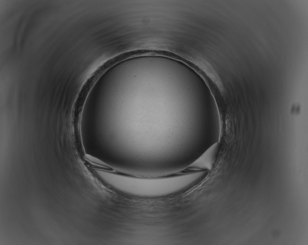 X0000089950972200707131512