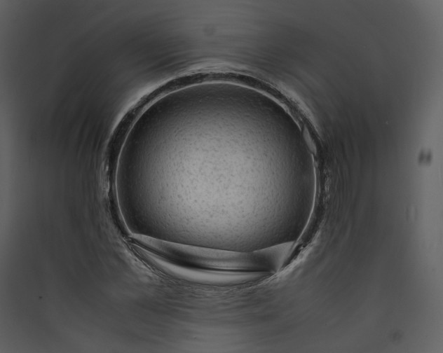 X0000089950973200707131512