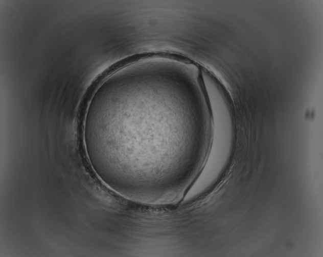 X0000089950975200707131512