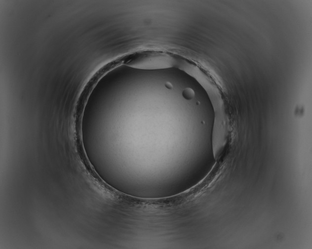 X0000089950976200707131512