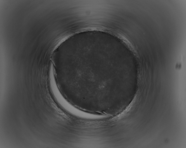 X0000089950977200707131512